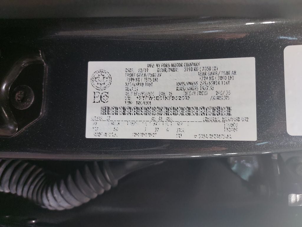 2019 Ford F-150 XLT
