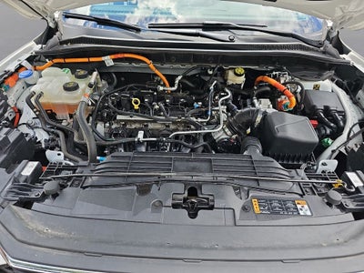 2024 Ford Escape Hybrid ST-Line Select