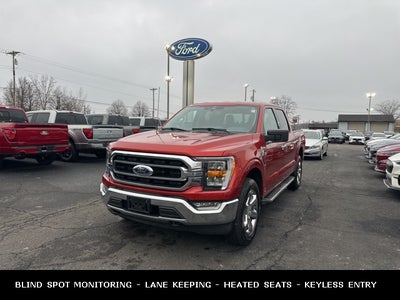 2023 Ford F-150 XLT 4WD
