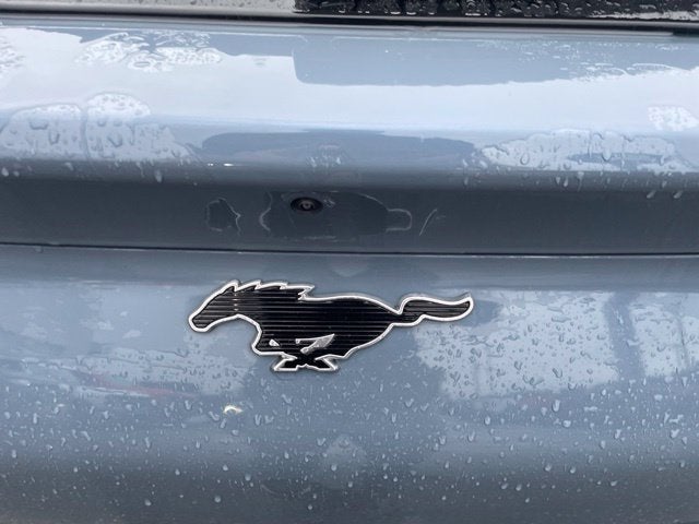 2024 Ford Mustang Mach-E Premium EXTENDED RANGE BATTERY