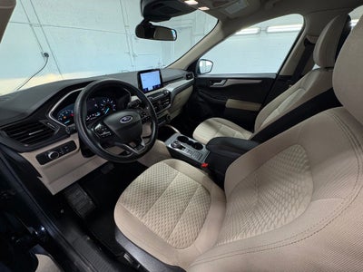 2020 Ford Escape SE Exterior Parking Camera Rear