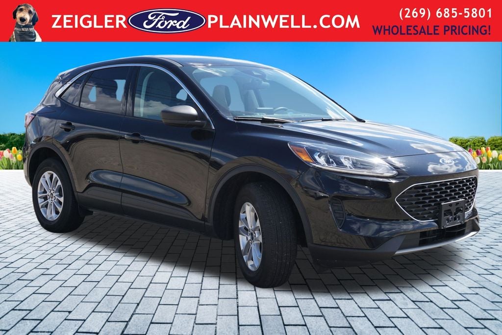 2022 Ford Escape SE AWD Rear Camera