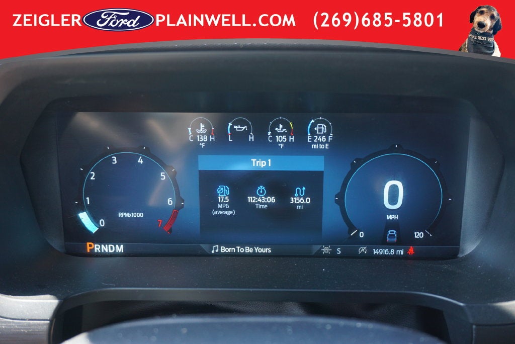 2025 Ford F-150 XLT Black Apoearance Pkg 3.5L Ecoboost Blis Rear Camer