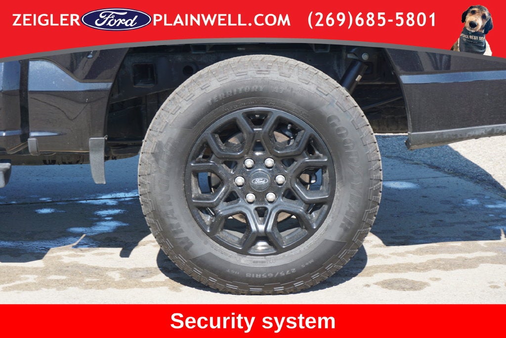 2025 Ford F-150 XLT Black Apoearance Pkg 3.5L Ecoboost Blis Rear Camer