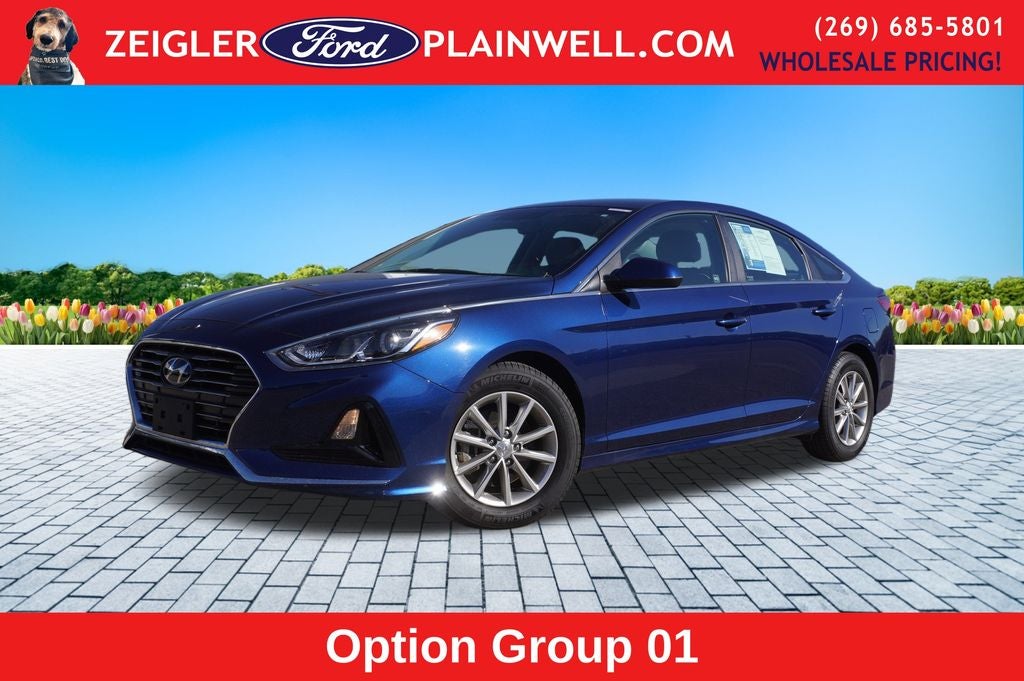 2018 Hyundai Sonata ECO APPLE CAR PLAY REAR CAMERA 1.6L DGI DOHC