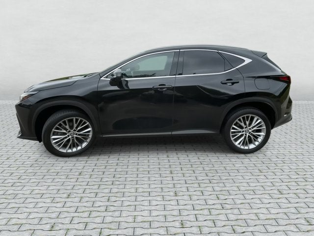 2024 Lexus NX NX 350 Luxury