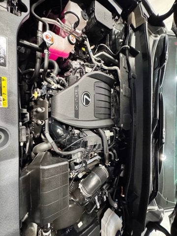 2024 Lexus TX 500h F SPORT Premium