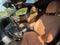 2024 BMW 4 Series 430i xDrive